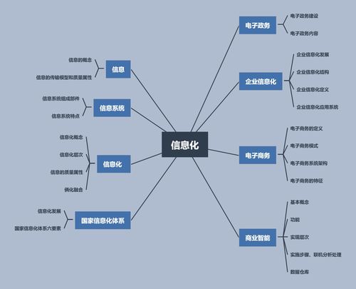 信息系统集成专业技术知识 开发基础与集成服务